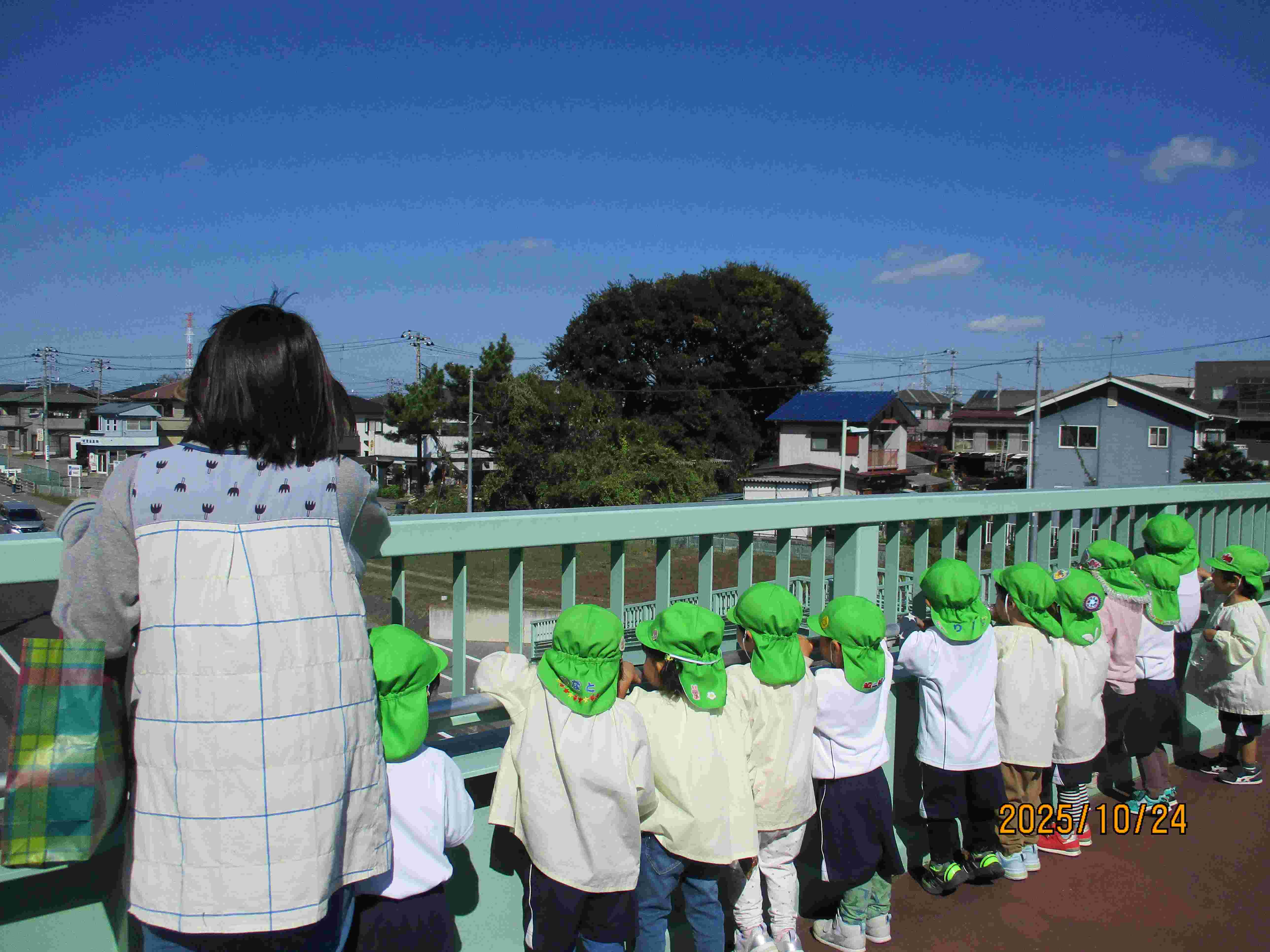 お散歩日和 お散歩日和